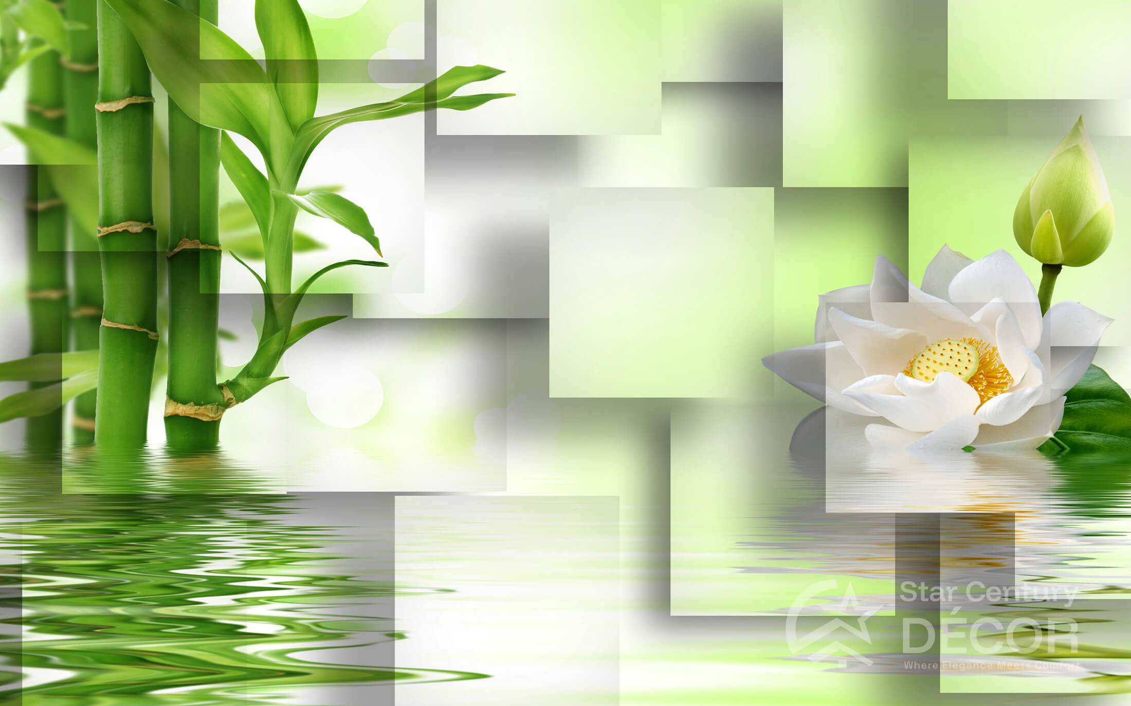Bamboo1
