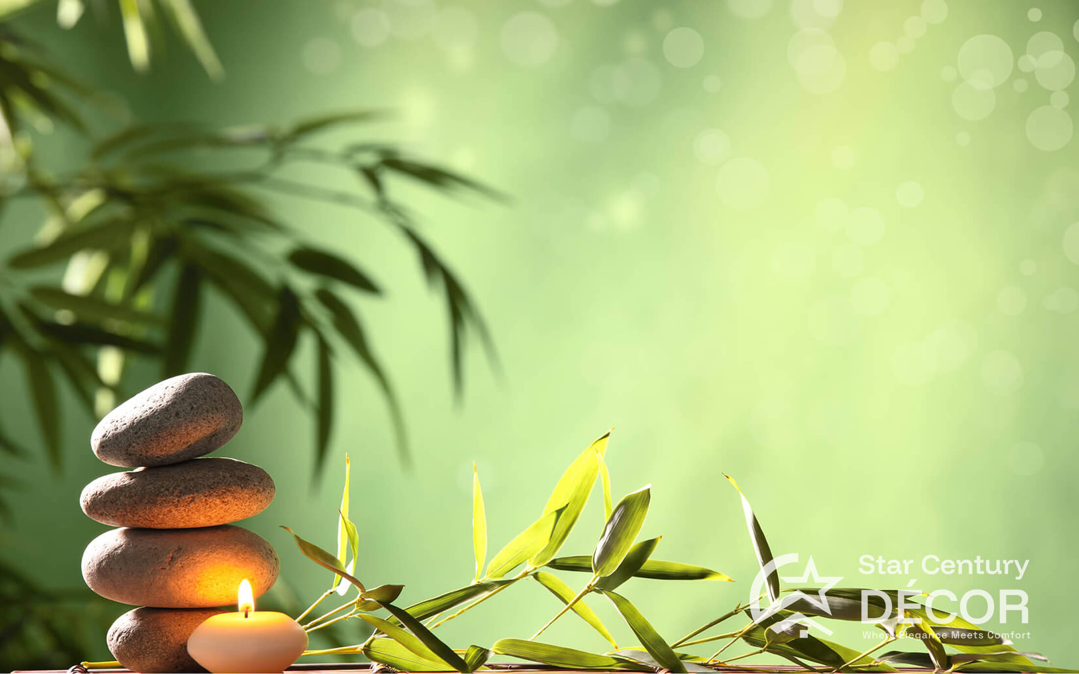 Bamboo4